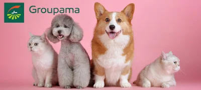 assurance chien chat groupama
