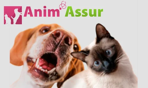 anim-assur-chien