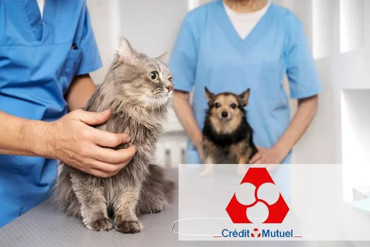 credit-mutuel-assurance-chien